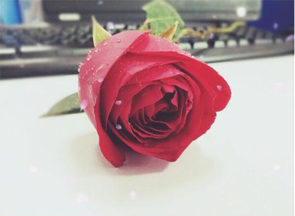 1493169699374778.jpg 1.jpg