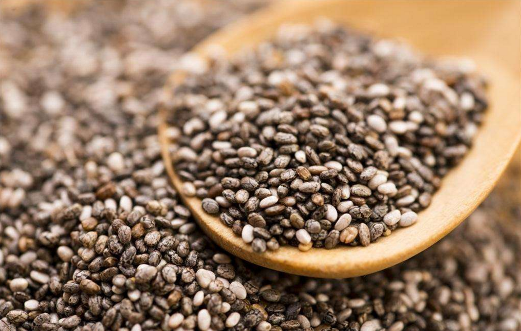 種子干燥和種子存儲(chǔ)的濕度與控制