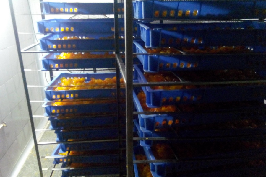 蛋黃烘干 蛋黃烘干